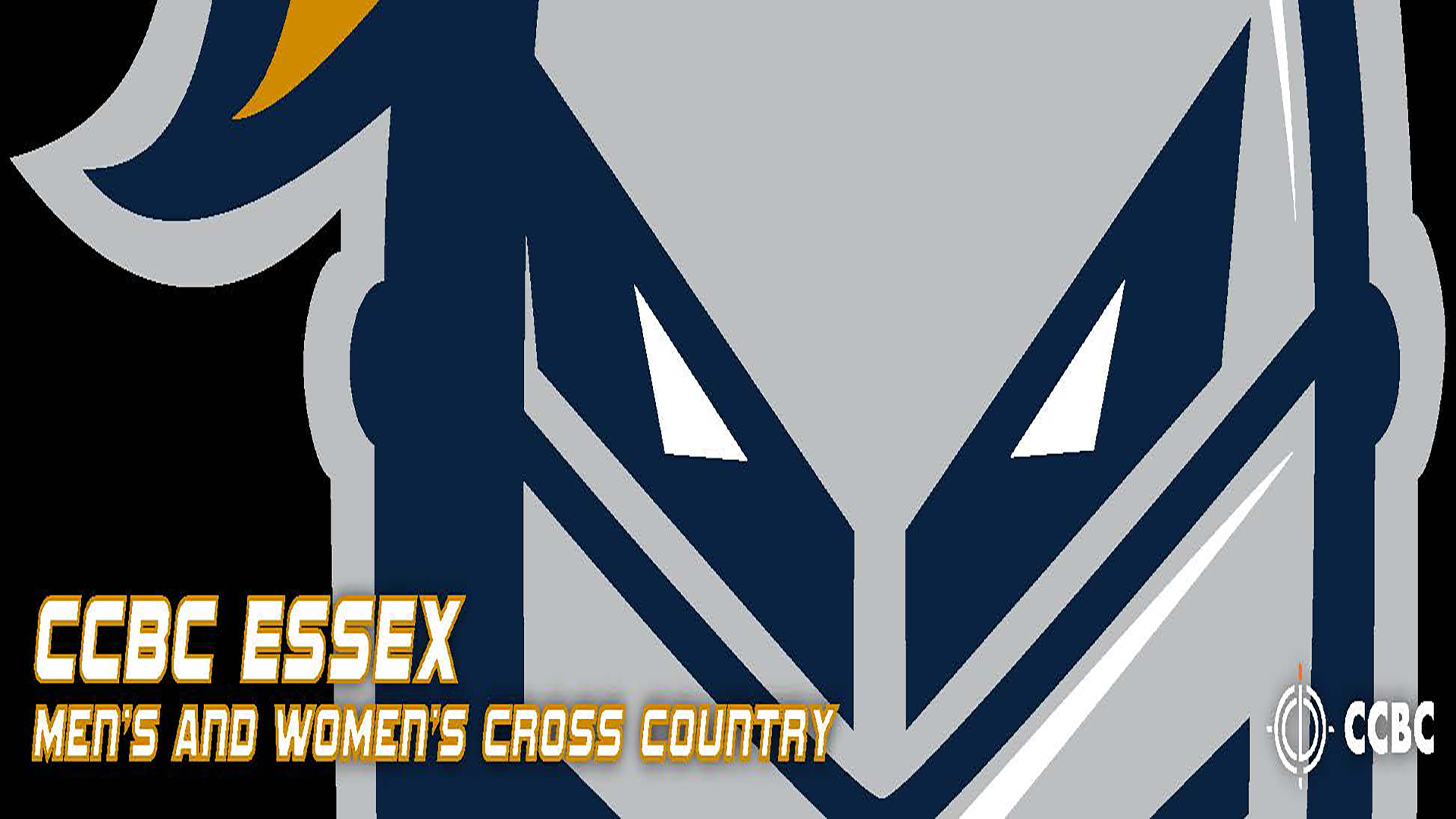 Knights Cross Country Shows Well at Dickinson Long & Short