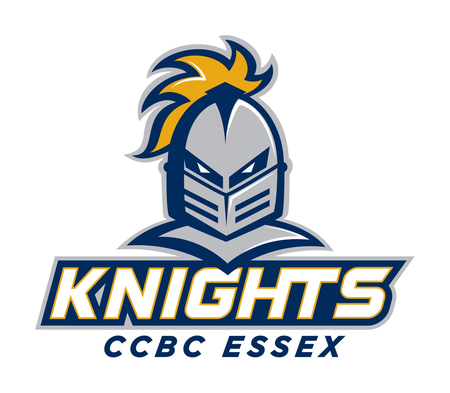 Knights Regional, Conference Awards